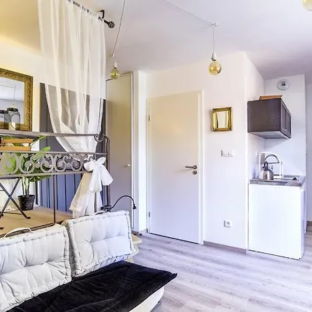 L'Entracte Strasbourgeoise - Charmant Studio Au Coeur De La Petite France Buitenkant foto