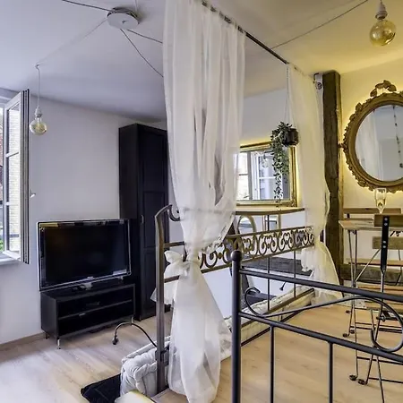 L'Entracte Strasbourgeoise - Charmant Studio Au Coeur De La Petite France Buitenkant foto