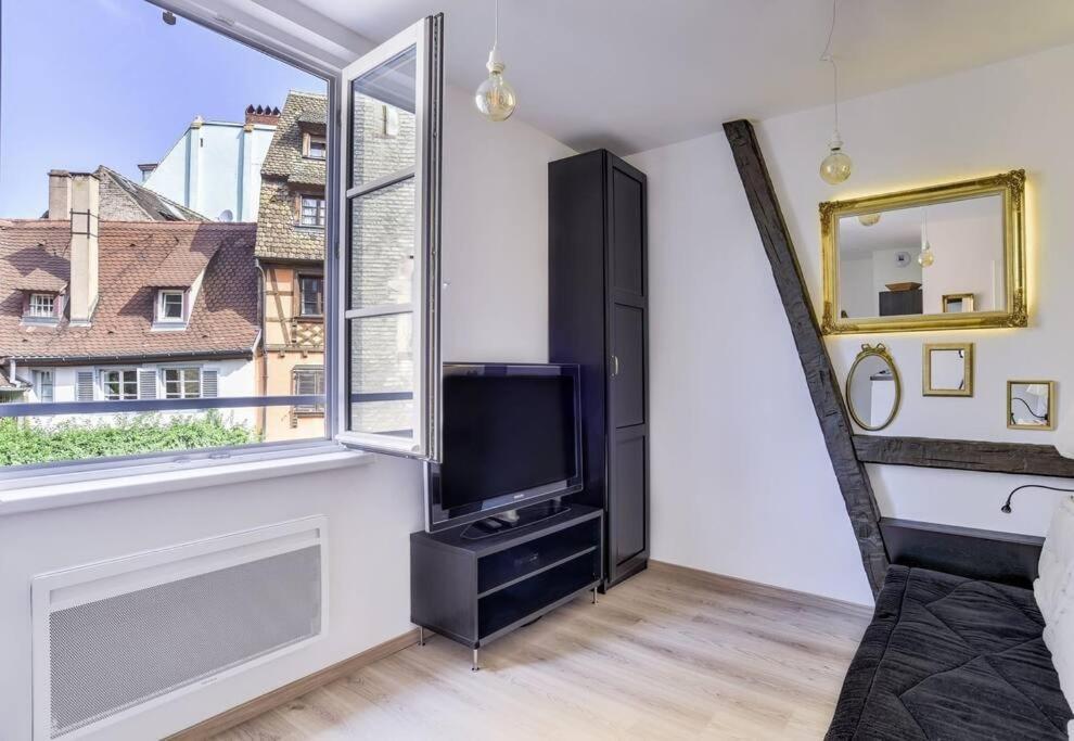 Appartement L'entracte Strasbourgeoise - Au Coeur De La Petite France Straatsburg